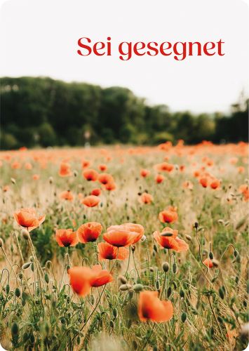 main product photo thumb