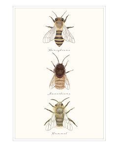 Postkarte 'Bienen'