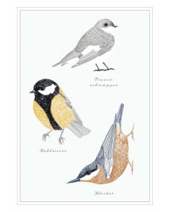Postkarte 'Vögel'