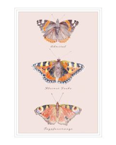 Postkarte 'Schmetterlinge'