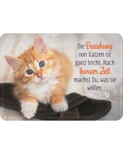 Postkarte 'Die Erziehung von Katzen ist ganz leicht. Nach kurzer Zeit machst du was sie wollen.'
