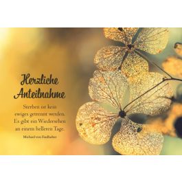 Faltkarte 'Herzliche Anteilnahme'